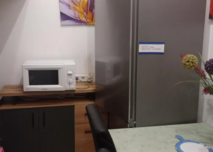 Apartment Deribasovskaya Shanti Electricity All Time *